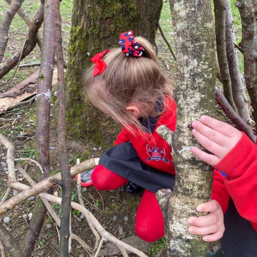 'Living Things' Hunt in the Forest Area