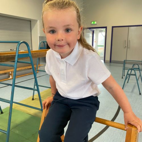 Gymnastics using the large apparatus