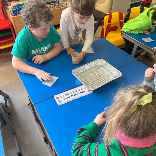 Science - Eco Oceans