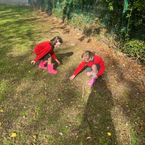 IMG92141)