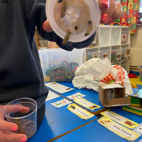 From Caterpillars to Butterflies – Our Amazing Transformation Journey