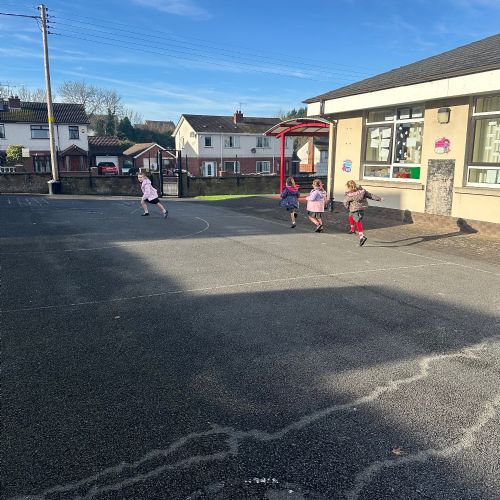 IMG1785